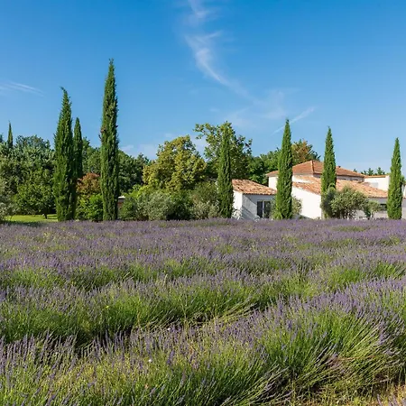 Romantique, Jacuzzi Et Lit D'exception Gasthof Aix-en-Provence