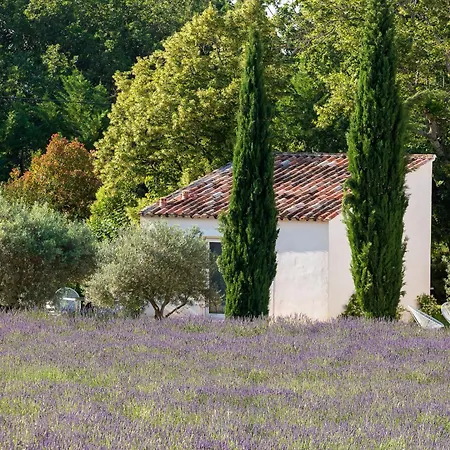 Romantique, Jacuzzi Et Lit D'exception Gasthof 5*