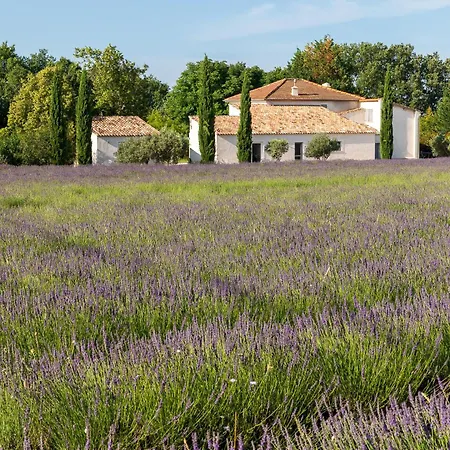 Gasthof Romantique, Jacuzzi Et Lit D'exception