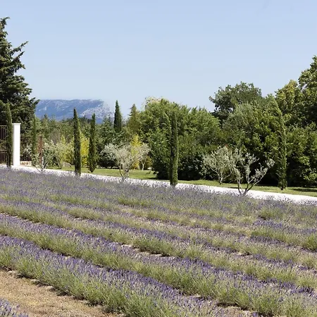 Гостевой дом La Bastide De Damien, 5 Clefs Demeure D'exception Et Table Remarquable Dans Le Guide Teritoria, Jacuzzi Privatif, Cuisine Etoilee Dominique Frerard Экс-ан-Прованс