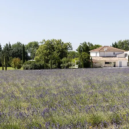 La Bastide De Damien, 5 Clefs Demeure D'exception Et Table Remarquable Dans Le Guide Teritoria, Jacuzzi Privatif, Cuisine Etoilee Dominique Frerard Гостевой дом