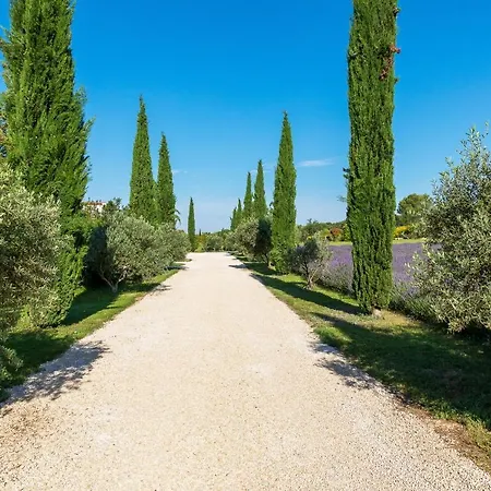La Bastide De Damien, 5 Clefs Demeure D'exception Et Table Remarquable Dans Le Guide Teritoria, Jacuzzi Privatif, Cuisine Etoilee Dominique Frerard 5* Экс-ан-Прованс