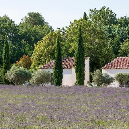La Bastide De Damien, 5 Clefs Demeure D'exception Et Table Remarquable Dans Le Guide Teritoria, Jacuzzi Privatif, Cuisine Etoilee Dominique Frerard Гостевой дом