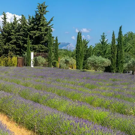 La Bastide De Damien, 5 Clefs Demeure D'exception Et Table Remarquable Dans Le Guide Teritoria, Jacuzzi Privatif, Cuisine Etoilee Dominique Frerard Экс-ан-Прованс