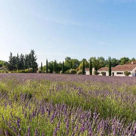 La Bastide De Damien, 5 Clefs Demeure D'exception Et Table Remarquable Dans Le Guide Teritoria, Jacuzzi Privatif, Cuisine Etoilee Dominique Frerard Гостевой дом