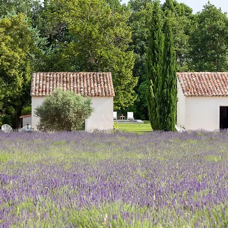 La Bastide De Damien, 5 Clefs Demeure D'exception Et Table Remarquable Dans Le Guide Teritoria, Jacuzzi Privatif, Cuisine Etoilee Dominique Frerard Гостевой дом Экс-ан-Прованс